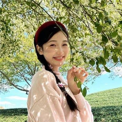 解构哈利